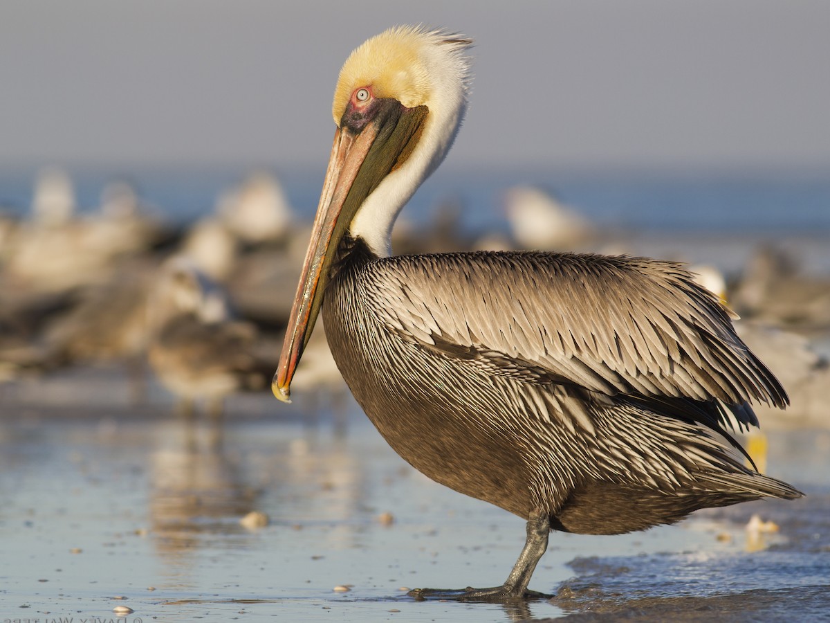 la mejor agencia de viajes para viajes de naturaleza en mexico