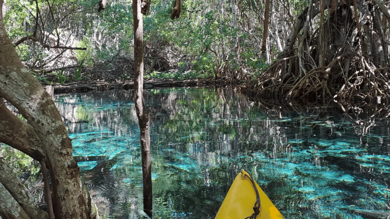 viajes de naturaleza en mexico, agencia de viajes en mexico