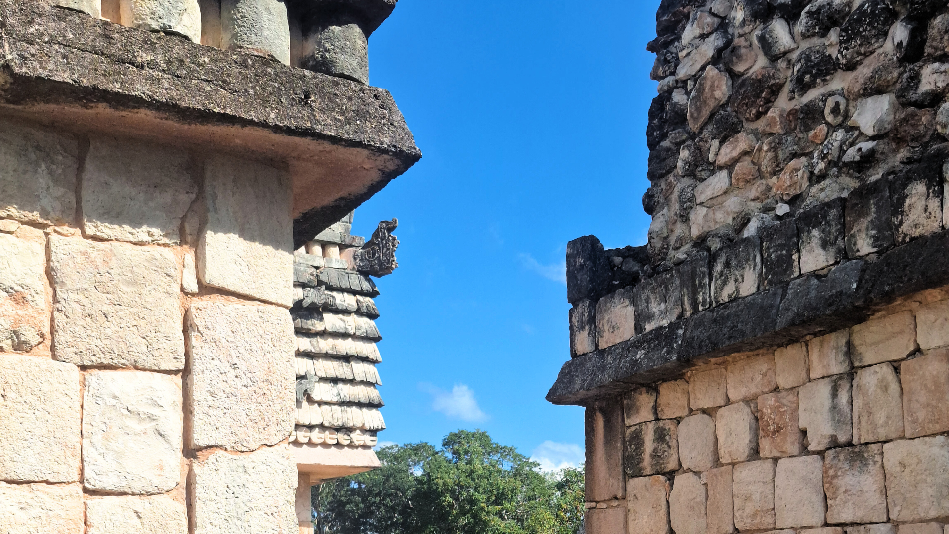 Diseño sin título (37)