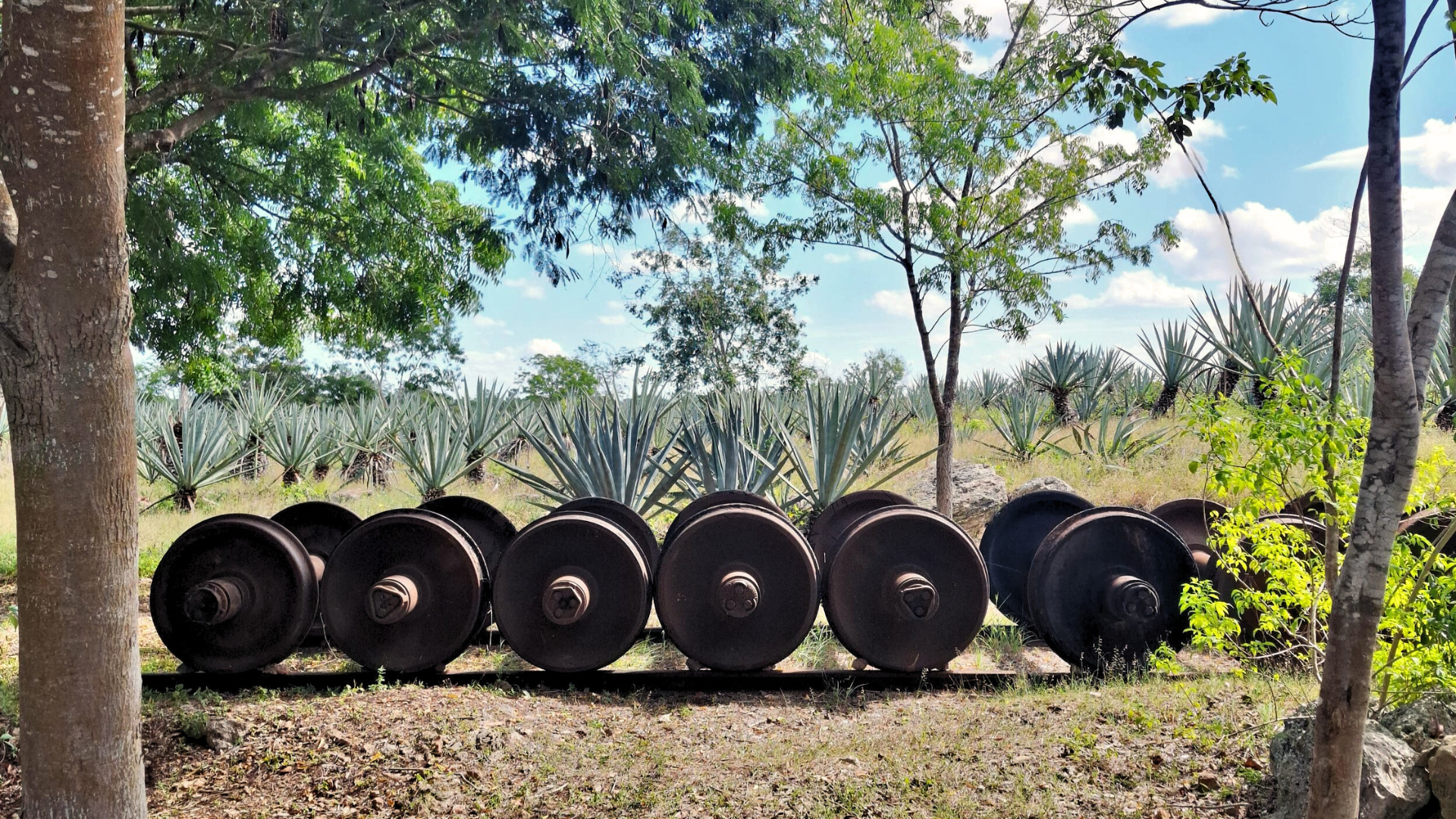 Viajes culturales en Yucatan, agencia de viajes historicos y culturales en yucatan, viajes a la medida mexico
