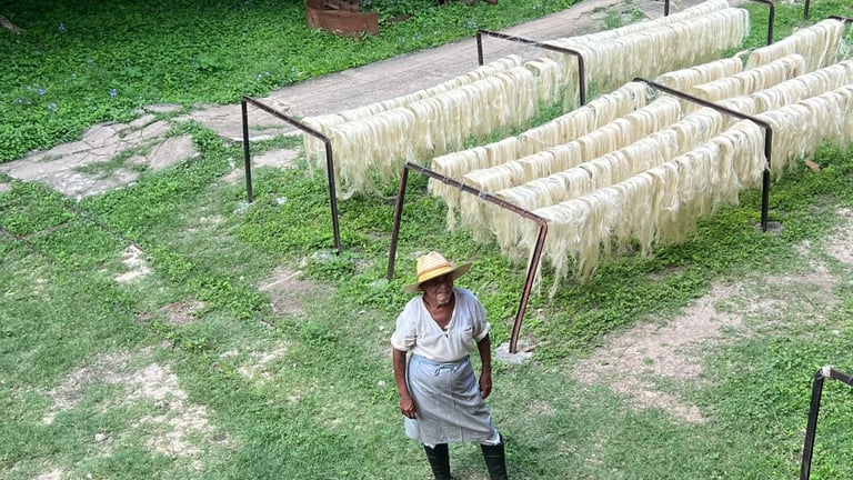 viajes culturales mexico, agencia de viajes culturales mexico, agencia de viajes educativos mexico