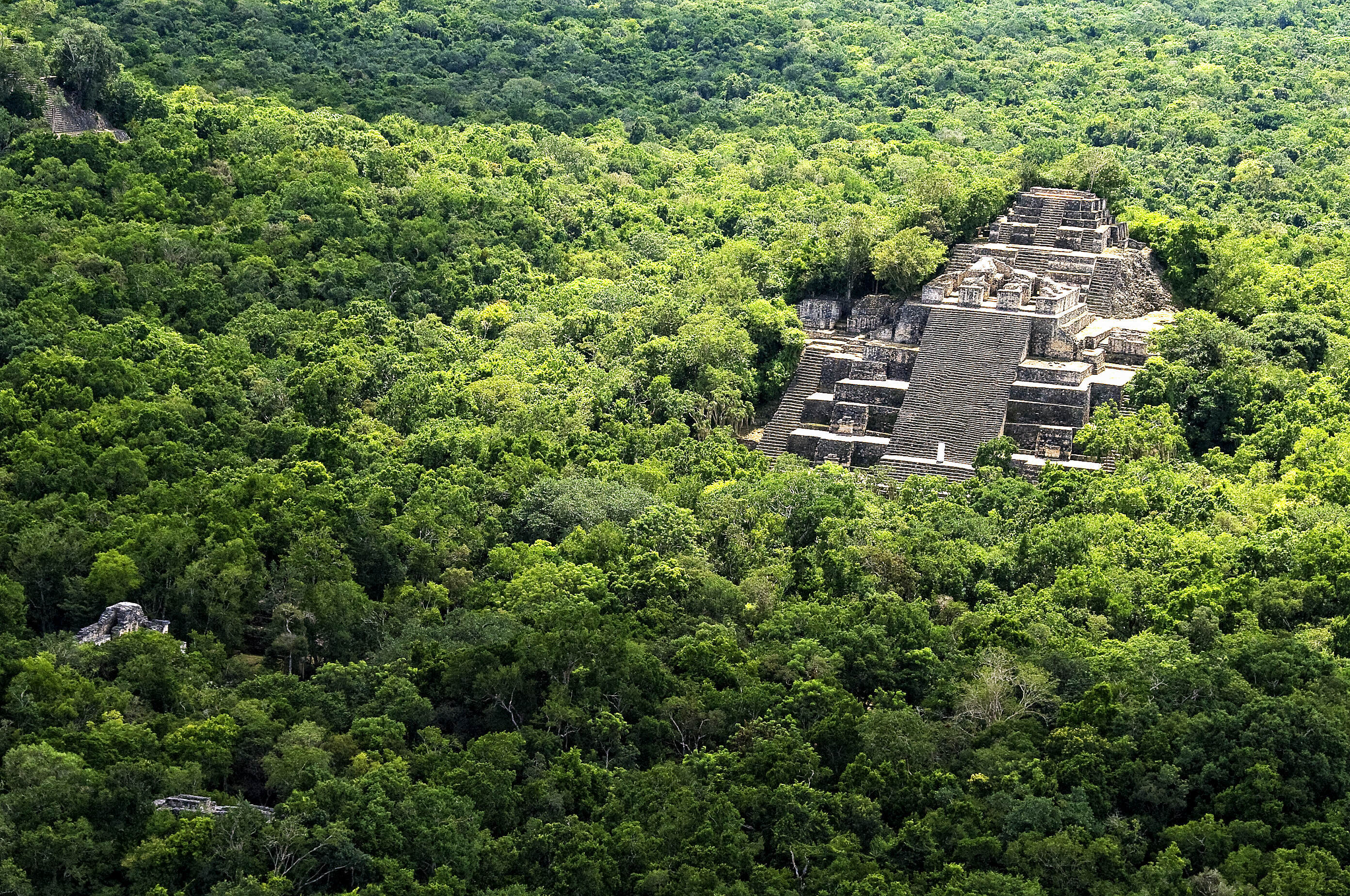 calakmul-exploring-the-hidden-mayan-ruins-in-the-jungle-of-mexico